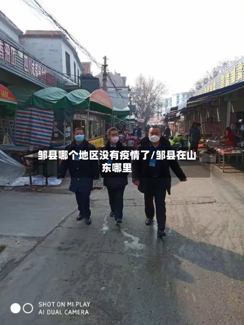 邹县哪个地区没有疫情了/邹县在山东哪里-第1张图片